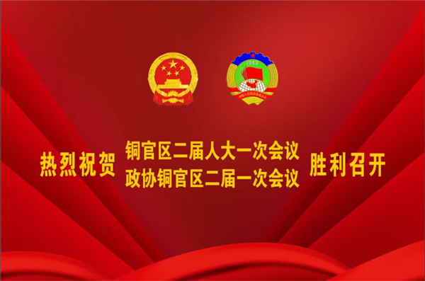 熱烈祝賀公司董事、副總經理王從偉被選為 第二屆銅陵市銅官區政協常務委員